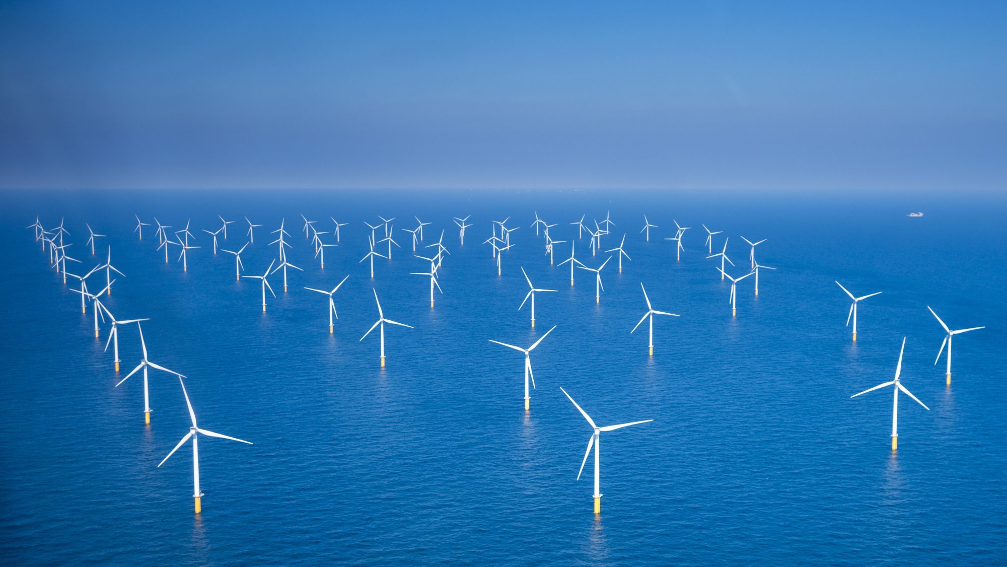 Alle 50 molens windpark Nobelwind nu operationeel